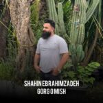 دانلود آهنگ شاهین ابراهیم زاده گرگ و میش